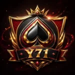 Y71 Game