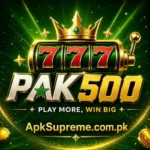 Pak500 Game