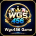 Wgs456 Game