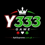 Y333 Game